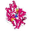 Angiotensin Converting Enzyme