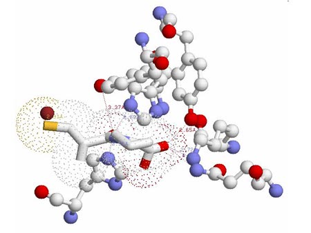 Captopril View 1