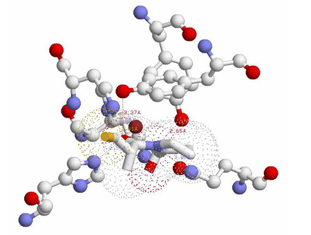 Captopril View 2