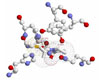 Captopril View 2