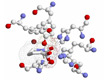 Captopril View 4