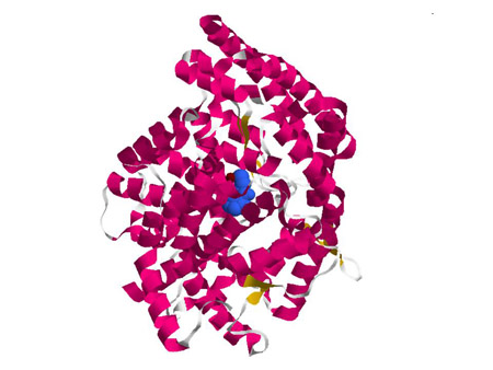 Captopril