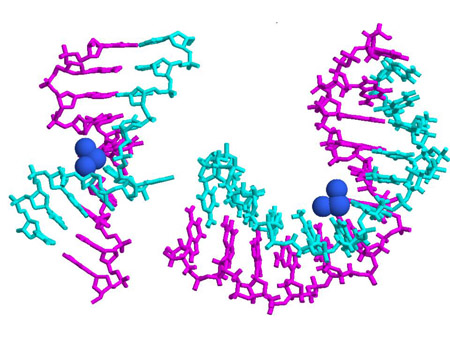 Cisplatin