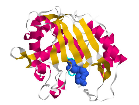 5-Fluorouracil