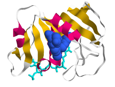 Methotrexate