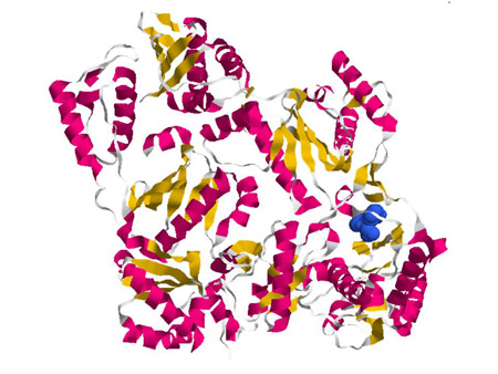 Nevirapine