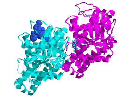 Taxol