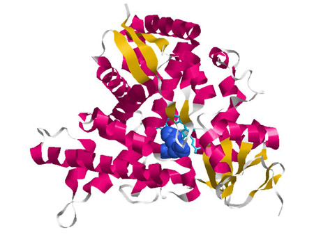 Fluconazole