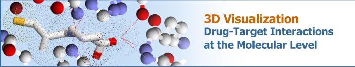 3D Visualization Drug-Target Interactions at the Molecular Level